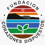 Entidad