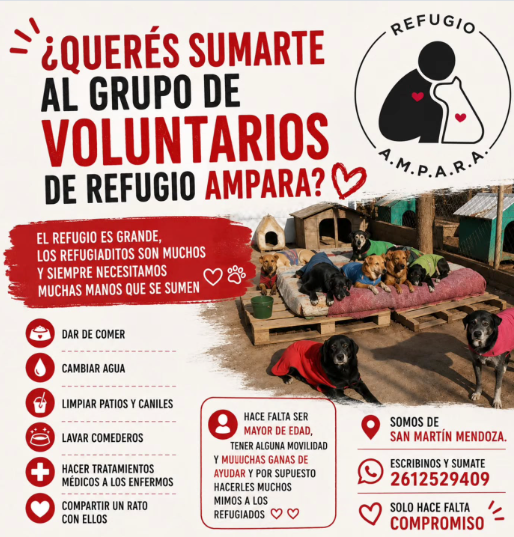 Convocatoria de voluntarios para el Refugio Ampara